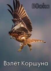 Книга Взлёт Коршуна (СИ) Взлёт Коршуна (СИ)