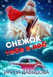 Давыдова Ирина - Снежок тебе в лоб (СИ)