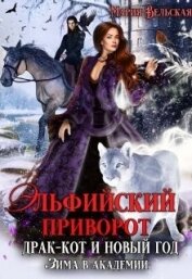 Книга Эльфийский приворот, драк-кот и Новый год. Зима в Академии (СИ) Эльфийский приворот, драк-кот и Новый год. Зима в Академии (СИ)