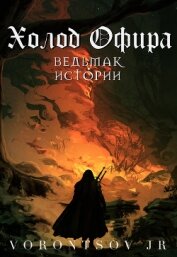 Холод Офира: Ведьмак. Истории Школы Кота (СИ)
