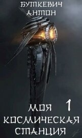 Книга Моя космическая станция (СИ) Моя космическая станция (СИ)