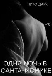 Дарк Нико - Одна ночь в Санта-Монике (СИ)