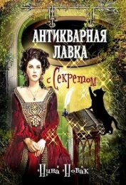 Антикварная лавка с секретом (СИ)