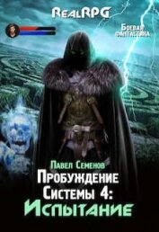 Книга Испытание (СИ) Испытание (СИ)