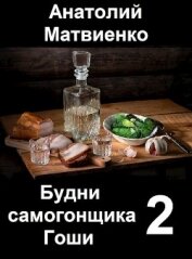 Мир и нир (СИ)