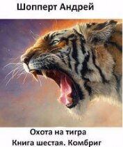 Комбриг (СИ)
