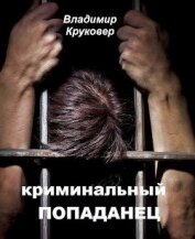 Криминальный попаданец (СИ)