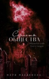 Скелеты общества (СИ)