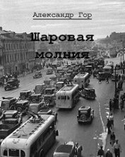 Книга Шаровая молния (СИ) Шаровая молния (СИ)