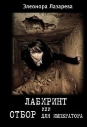 Книга Лабиринт или отбор для Императора (СИ) Лабиринт или отбор для Императора (СИ)