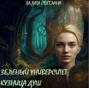 Кузница душ (СИ)