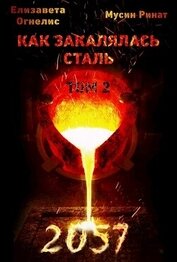Как закалялась сталь - 2057. Том 2 (СИ)