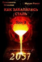 Как закалялась сталь - 2057. Том 3 (СИ)