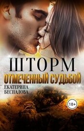 Шторм. Отмеченный Судьбой (СИ)