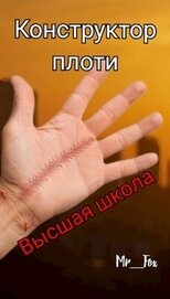 Высшая школа (СИ)