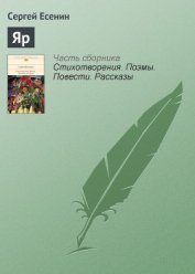 Яр
