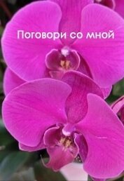 Поговори со мной (СИ)