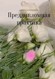 Книга Преддипломная практика (СИ) Преддипломная практика (СИ)