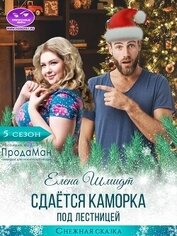 Сдаётся каморка под лестницей (СИ)