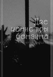 Две канистры бензина (СИ)
