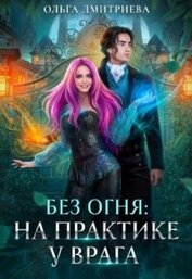 Книга На практике у врага (СИ) На практике у врага (СИ)