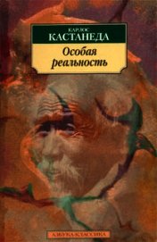 Особая реальность (перевод Останина и Пахомова)