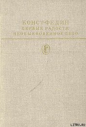 Книга Необыкновенное лето Необыкновенное лето