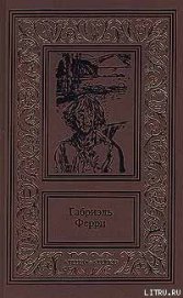 Книга Лесной бродяга Лесной бродяга