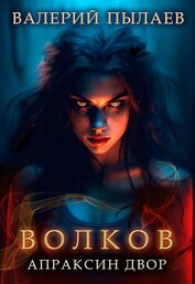Книга Волков. Апраксин двор Волков. Апраксин двор