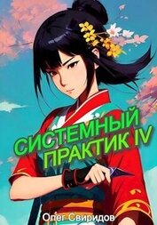 Свиридов Олег - Системный практик IV (СИ)