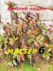 Мастер 6 (СИ)