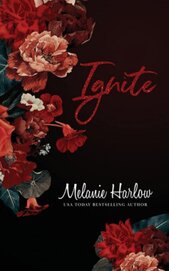 Книга Разжигать (ЛП) Разжигать (ЛП)