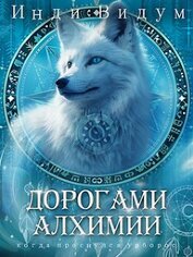 Видум Инди - Дорогами алхимии (СИ)