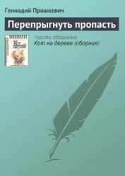 Книга Перепрыгнуть пропасть Перепрыгнуть пропасть