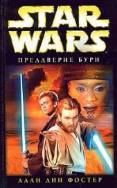 Книга Преддверие бури Преддверие бури