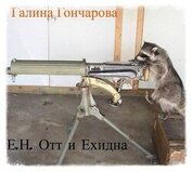 Книга Е.Н. Отт и Ехидна (СИ) Е.Н. Отт и Ехидна (СИ)