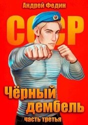 Федин Андрей - Черный дембель. Часть 3 (СИ)