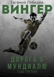 Книга Дорога к Мундиалю (СИ) Дорога к Мундиалю (СИ)