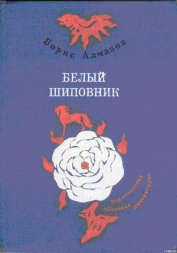 Деревянное царство (с рисунками О. Биантовской)