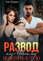 Книга Развод под Новый год. Поверить в чудо Развод под Новый год. Поверить в чудо