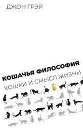 Кошачья философия. Кошки и смысл жизни