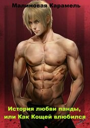 Книга История любви панды, или Как Кощей влюбился (СИ) История любви панды, или Как Кощей влюбился (СИ)