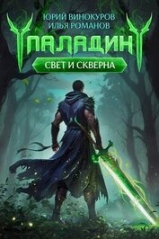 Паладин (СИ)