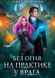 Книга На практике у врага На практике у врага