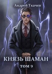Князь шаман. Том 9 (СИ)