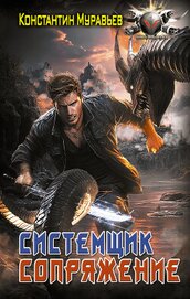 Книга Системщик. Сопряжение Системщик. Сопряжение