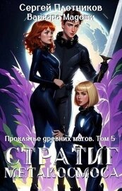 Стратиг метакосмоса (СИ)