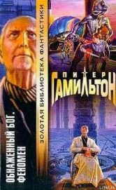 Книга Обнажённый Бог: Феномен Обнажённый Бог: Феномен