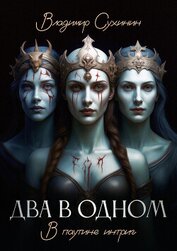 Два в одном. В паутине интриг