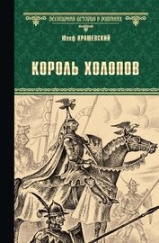 Книга Король холопов Король холопов